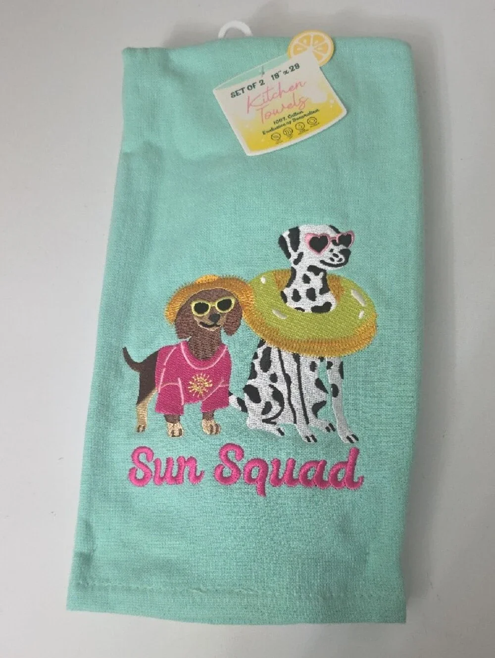 Kitchen Aqua Towels, Set of 2, NWT